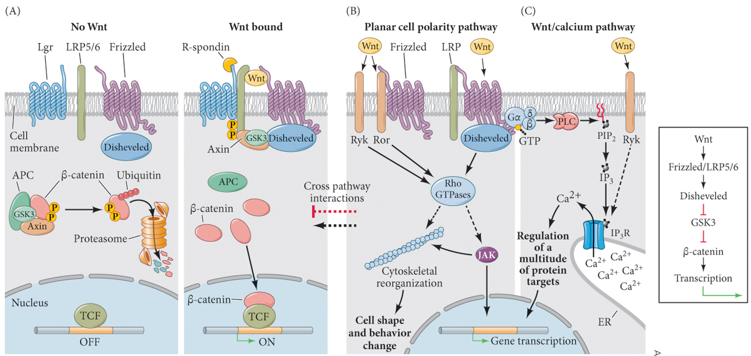 屏幕截图 2025-12-29 135302